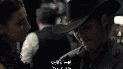美剧首季收视率最高的电视剧西部世界